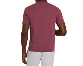The Mason T-Shirt: Cabernet shown from the back, featuring a relaxed fit with short sleeves, highlighting its comfortable, midweight Peruvian pima cotton fabric.