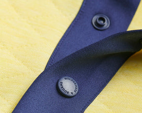 The Sullivan Pullover: Heathered Citron & Navy