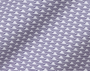 The Hopkins Shirt: Amherst