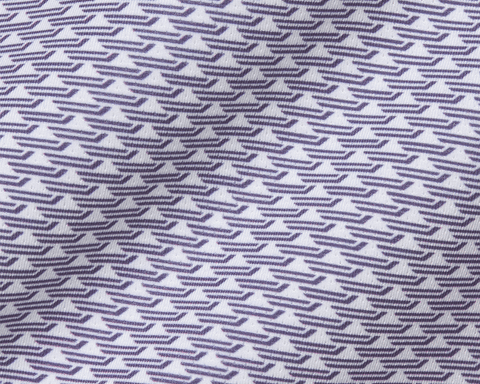 The Hopkins Shirt: Amherst