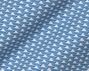 The Hopkins Shirt: Andover