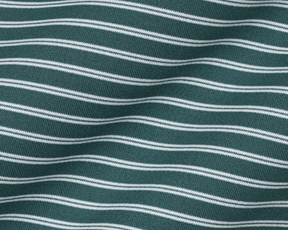 The Dover Shirt: California Spruce & White