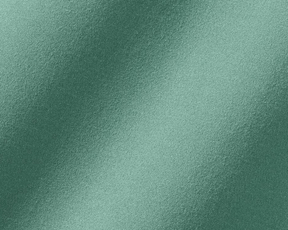 The Jackson Boys Hoodie: Sage